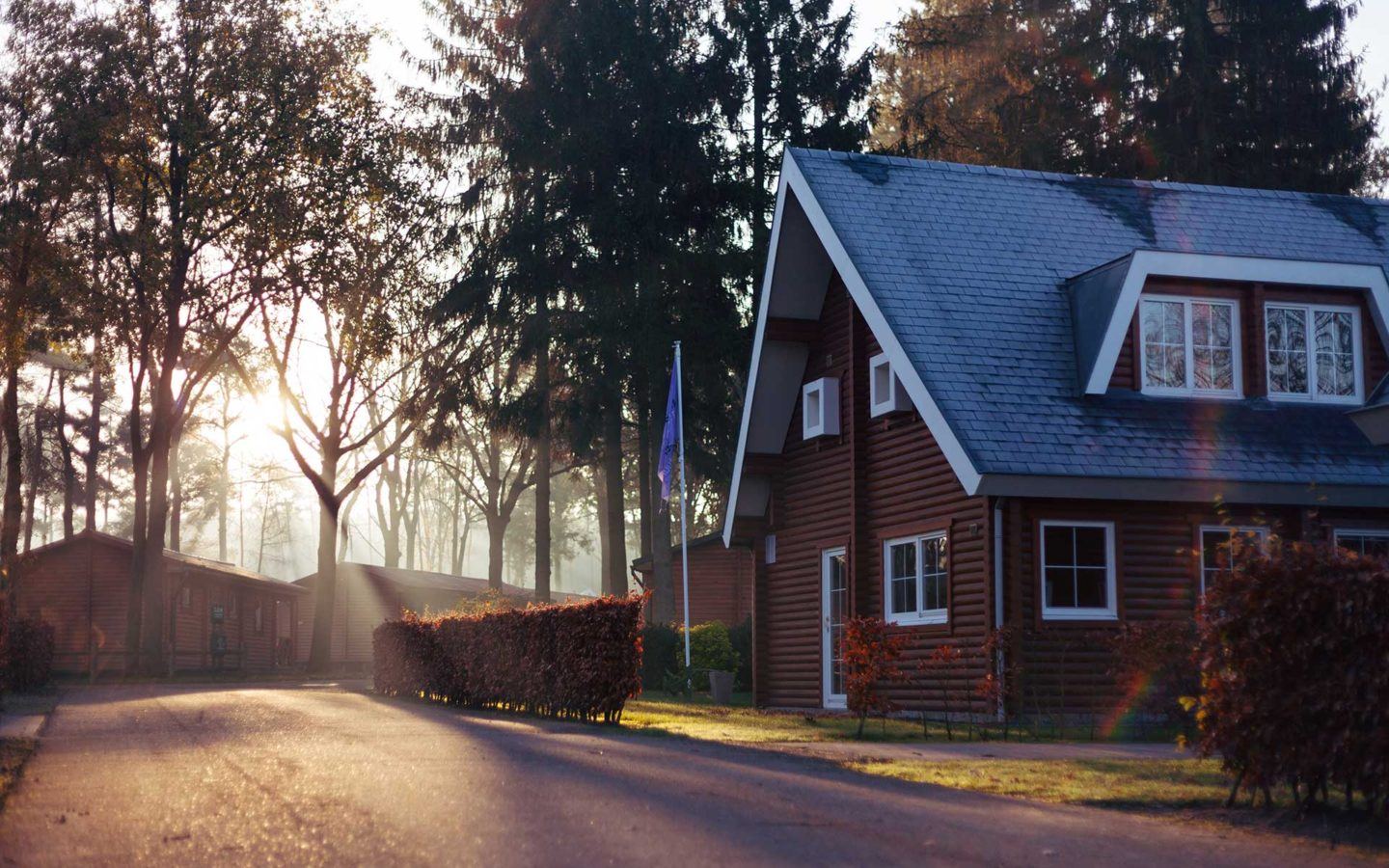 sunrising in a quiet neighbourhood with large trees and medium sized homes